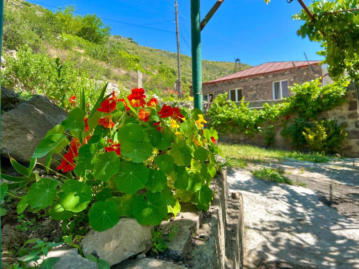 Igor Bed And Breakfast Halidzor Екстер'єр фото
