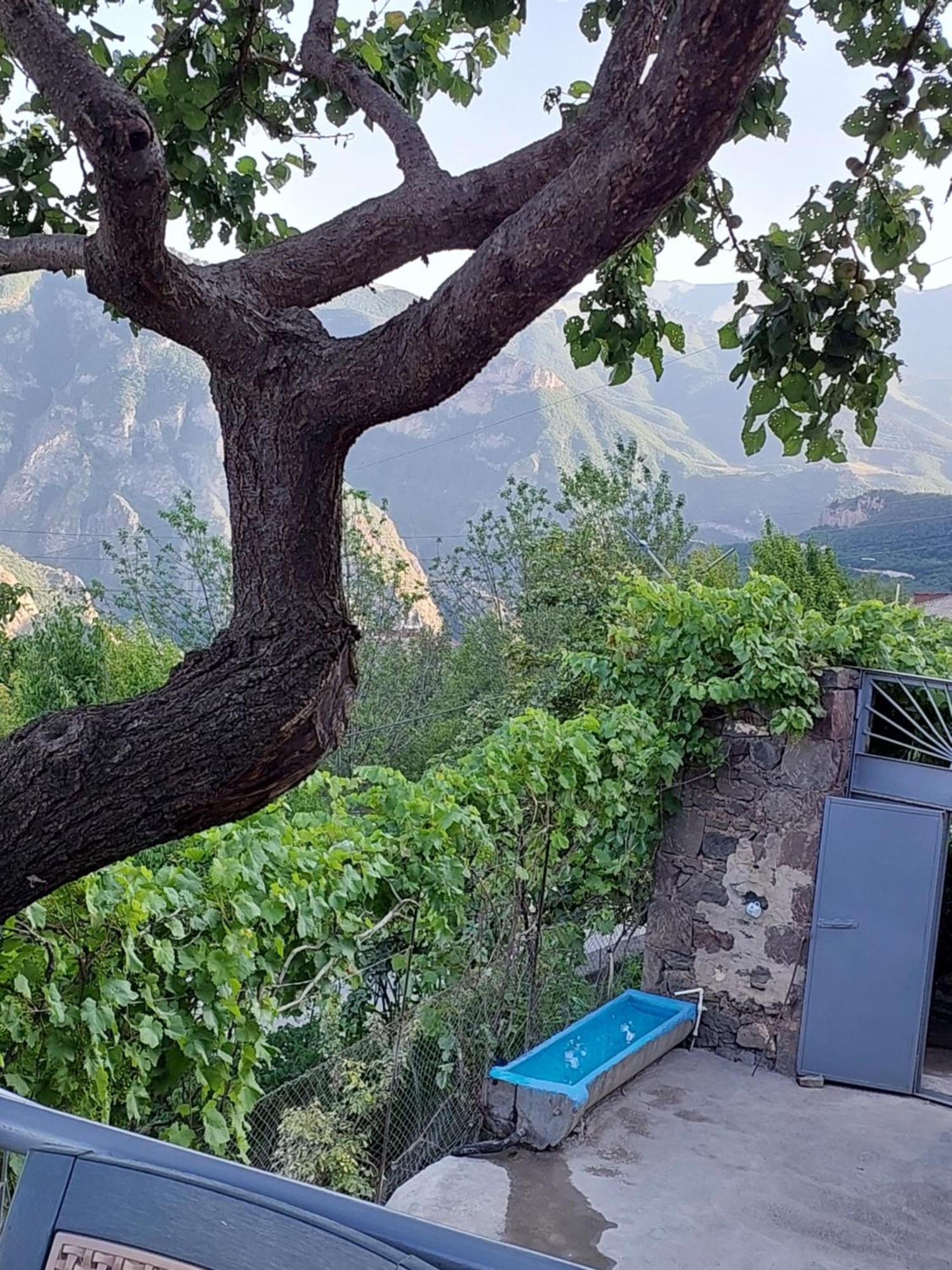 Igor Bed And Breakfast Halidzor Екстер'єр фото