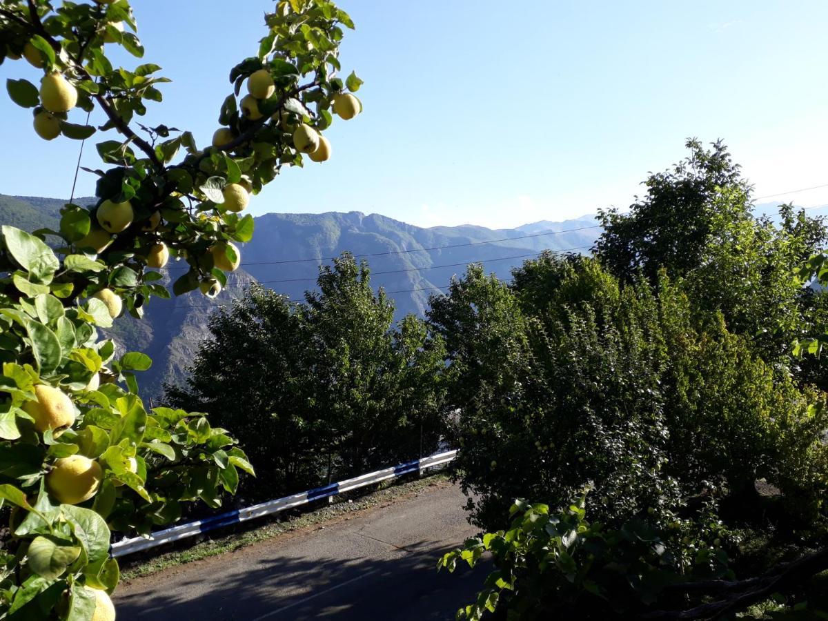 Igor Bed And Breakfast Halidzor Екстер'єр фото